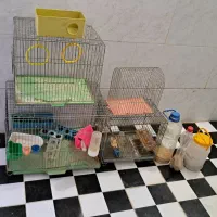 قفس پرنده و لوازم