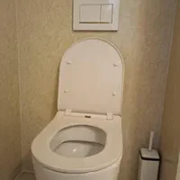 نصب و تعمیر توالت فرنگی توکار سرویسکاروال هنگ|خدمات پیشه و مهارت|مشهد, الهیه|دیوار