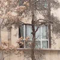 سوئیت دربست