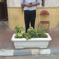 سرایداری ملک .ساختمان وویلا شما|استخدام سرایداری و نظافت|تهران, صادقیه|دیوار