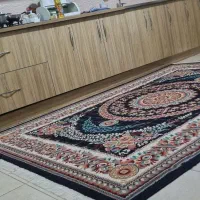 فرش طرح ابریشمی|فرش|ابهر, |دیوار