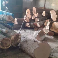 خریدانواع چوب|خدمات باغبانی و درختکاری|تویسرکان, |دیوار