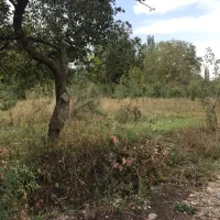 باغ فیرورق|فروش زمین و ملک کلنگی|فیرورق, |دیوار