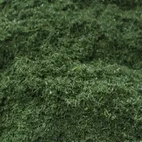 انواع سبزی خشک و تر موجود می‌باشد