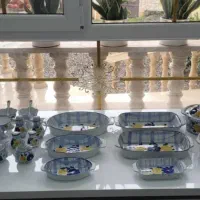 ظروف گل پنبه ایی