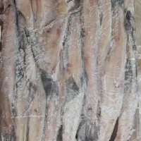 ماهی قزل آلا منجمد جنوب (پرورشی نیست)