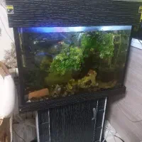 حراج آکواریوم