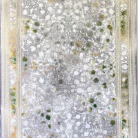 آغازیک دکوراسیون خاص بافرش های دیواری قصر»