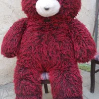 عروسک خرسی شاسخین