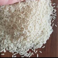 فروش برنج طارم هاشمی