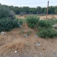 زمین-مسکونی-دامداری-ویلایی