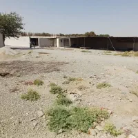 اجاره ۸۲۰ متر سوله/۵۰۰ متر محوطه بر اتوبان آزادگان|اجارهٔ دفتر صنعتی، کشاورزی، تجاری|احمدآبادمستوفی, |دیوار
