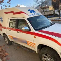 کاپرا اوراقی۹۰