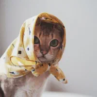 نظافتچی خانم