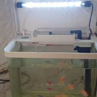آکواریوم با ماهی