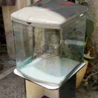 آکواریوم شرکتی شیشه خم