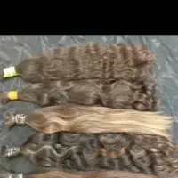 صادرکننده اصلی مو