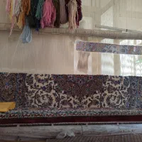 قالی نیمه بافته|فرش|آران و بیدگل, |دیوار