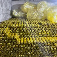 فروش خیارشور|عمده‌فروشی|اسالم, |دیوار