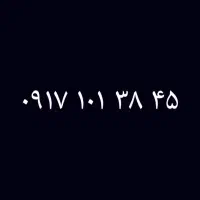 0917.101.38.45