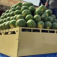 به یک نفر نیروی کار نیازمندیم