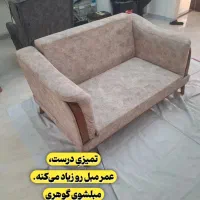 مبلشوی گوهری شستشو vip