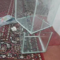 اکواریوم سینگل تانک یا پلنت