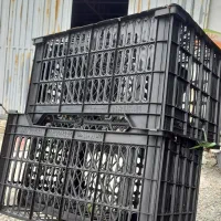 انواع سبد میوه