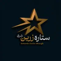 بازاریاب و ویزیتور