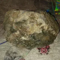 سکه کلکسیونی