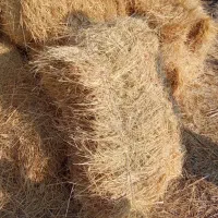 پرس علف دم|لوازم جانبی حیوانات|پلدشت, |دیوار