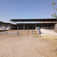 اجاره ۲۲۰۰ متری|اجارهٔ دفتر صنعتی، کشاورزی، تجاری|آباده, |دیوار