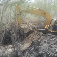 بیل اجاره ای با پیکور