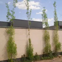 باغ ویلا شهرکی کردان سهیلیه فول|اجارهٔ خانه و ویلا|رامجین, |دیوار