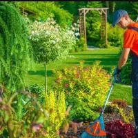 استخدام باغبان