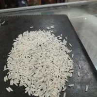 برنج هاشمی درجه ۱|عمده‌فروشی|آستانه اشرفیه, |دیوار