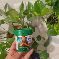 دیگه نگران خرابی گل های خونت نباش