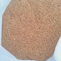 گندم چمران۲|خدمات باغبانی و درختکاری|شوشتر, |دیوار
