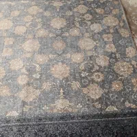 فرش ماشینی|فرش|تهران, میدان میوه و تره‌بار مرکزی|دیوار