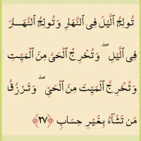 نیاز به وام فوری