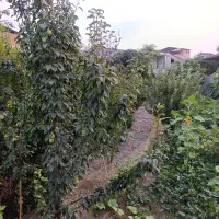 زمین-مسکونی-روستایی