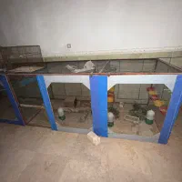 قفس بزرگ پرنده|لوازم جانبی حیوانات|بندر دیر, |دیوار