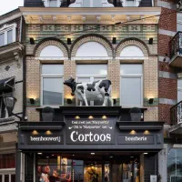 فایبر گلاس|خدمات پیشه و مهارت|زیباکنار, |دیوار