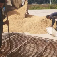 خرید و فروش انواع برنج ایرانی و بذر شالی