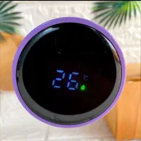 فلاسک استیل دماسنج دار|ظروف نگهدارنده، پلاستیکی، یک‌بارمصرف|تهران, زاهد گیلانی|دیوار