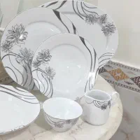 شش سرویس چینی زرین
