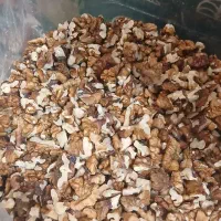 دندانه گردو خوش طعم وشیرین