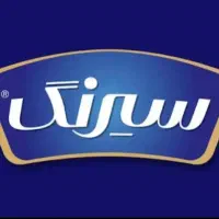 راننده نیسان