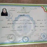 مدرک سیکل تادکتری