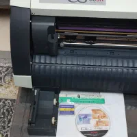 کاتر پلاتر میماکی جگوار